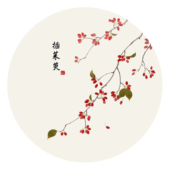 1697945969927427.png image.png